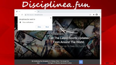 Disciplinea.fun pop-up