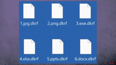Dkrf ransomware