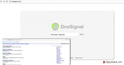 An image showing Dnssignal.com browser hijacker and search results