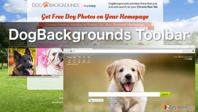 Image of dogbackrounds toolbar
