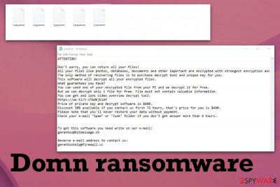 Domn ransomware