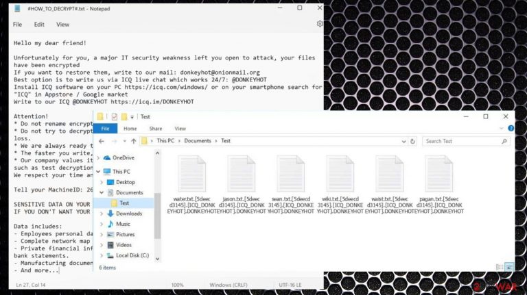 Donkeyhot file virus