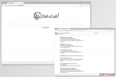 Image of Dubalub.com search engine