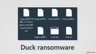 Duck ransomware