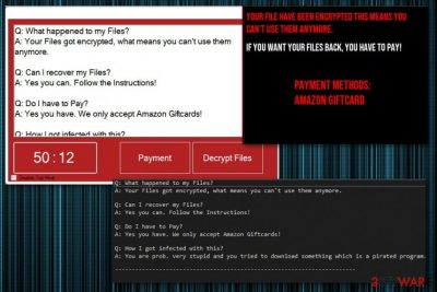 EbolaRnsmwr ransomware