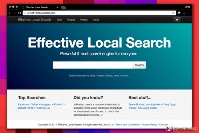 Effectivelocalsearch.com virus