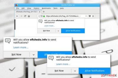 Efishedo.info adware