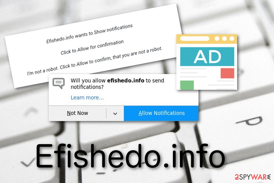 Efishedo.info potentially unwanted app