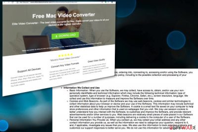 Elite Video Converter virus