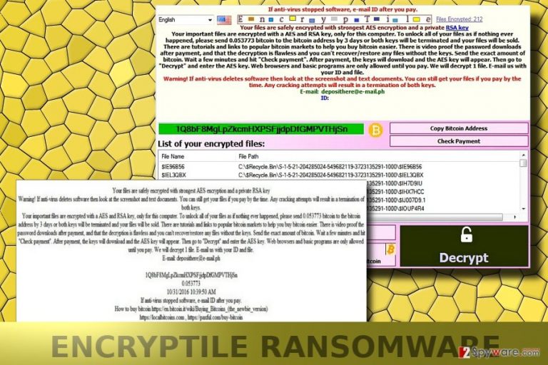 The image of Encryptile virus