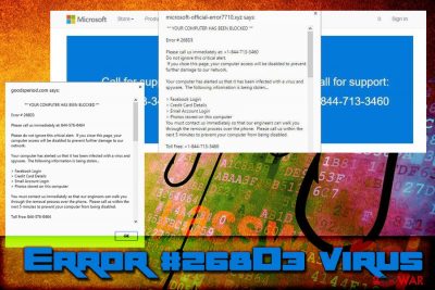 “Error #268D3” virus