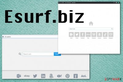 Esurf.biz