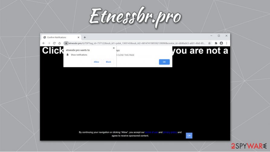 Etnessbr.pro notifications