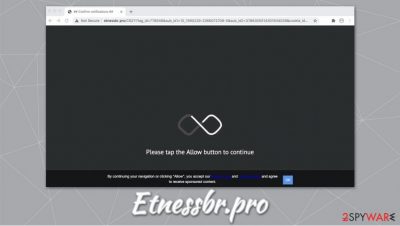 Etnessbr.pro