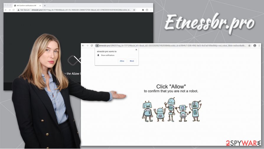 Etnessbr.pro ads