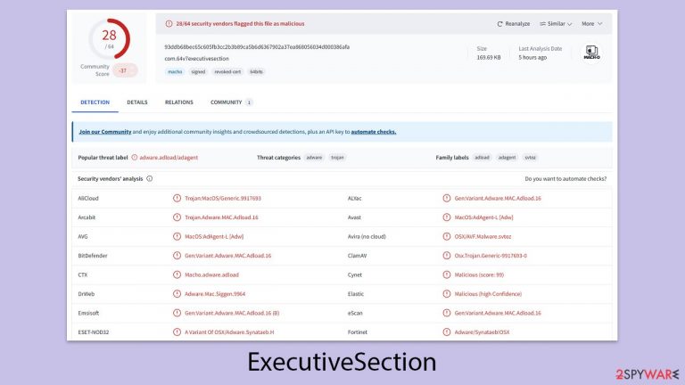 ExecutiveSection