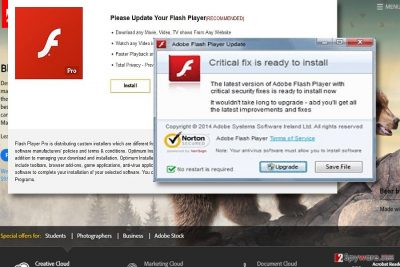 The screenshot of Update your Flash Player for Win 10