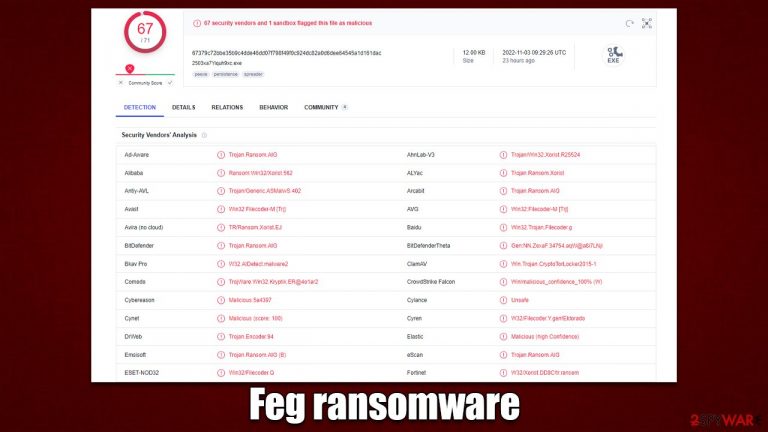 Feg ransomware