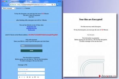 Freshdesk ransomware