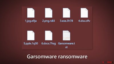 Garsomware ransomware