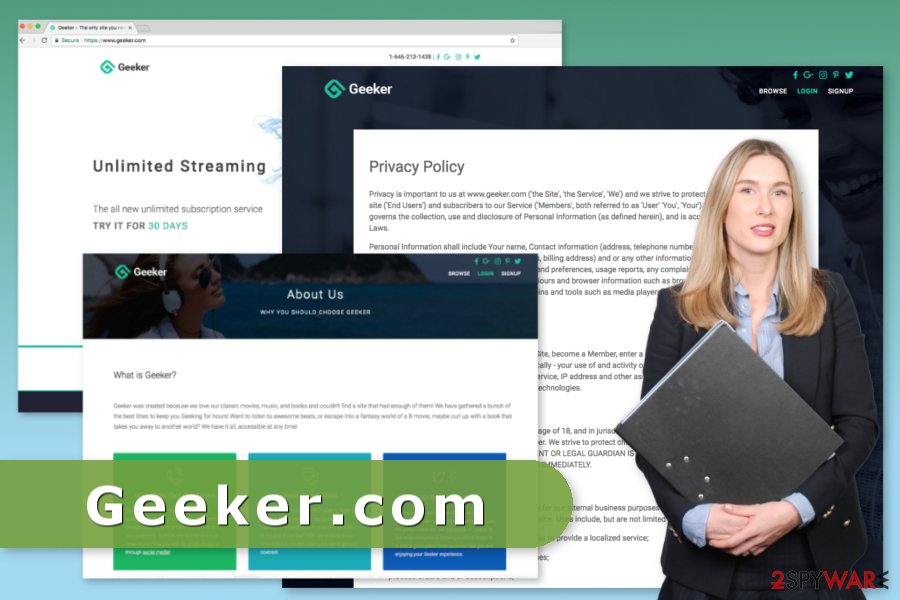 The image of Geeker website