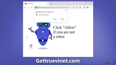 Gettruevinet.com