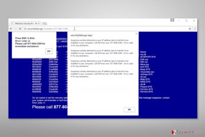 Example of "Google Chrome Fatal Error!"