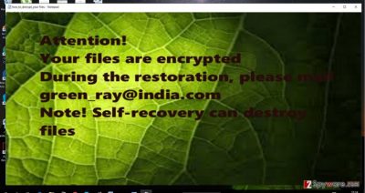 The screenshot of green_ray@india.com.xtbl