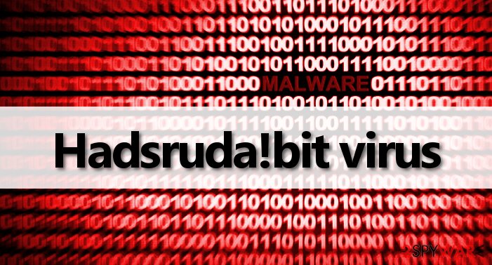 Hadsruda!bit malware