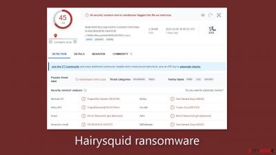 Hairysquid ransomware