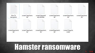Hamster ransomware