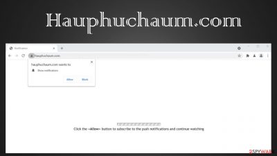 Hauphuchaum.com virus