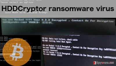 An image of HDDCryptor virus