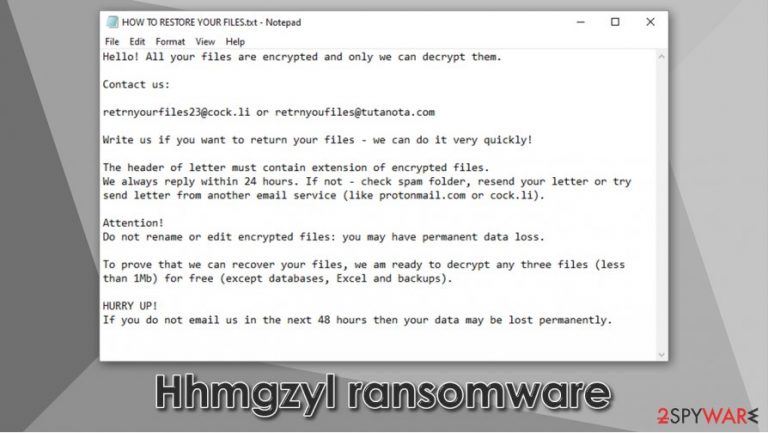 Hhmgzyl ransomware