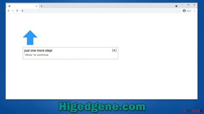 Higedgene.com