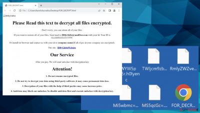 H0lyGh0st ransomware 