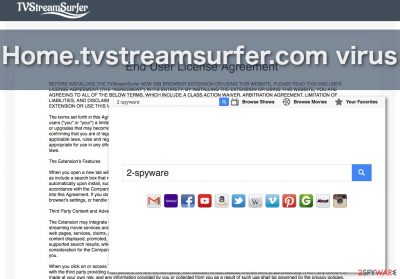 Image of the Home.tvstreamsurfer.com virus