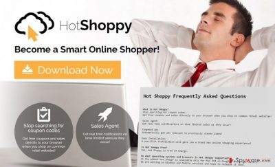 The example of HotShoppy ads