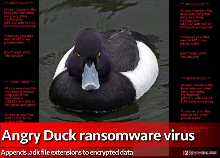 Ransom note created by Angry Duck virus
