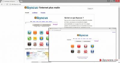 The example of Info.ibyscus.com virus