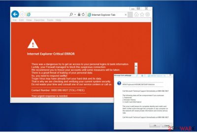 "Internet Explorer Critical ERROR" virus