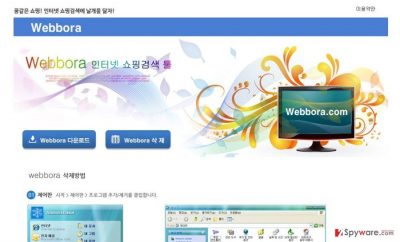 Internet webbora web virus