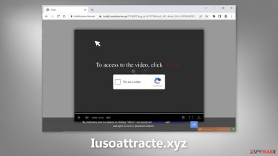 Iusoattracte.xyz