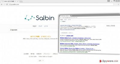 The picture of Jp.salbin.com virus