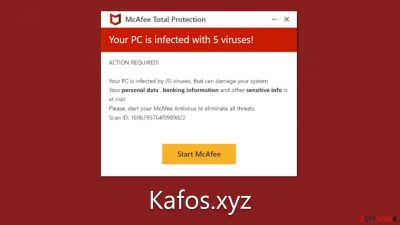 Kafos.xyz