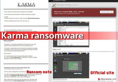 Image showing Karma Trojan