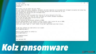 Kolz ransomware