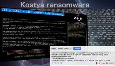 Image of the Kostya ransomware virus