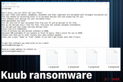 Kuub ransomware