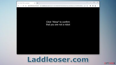 Laddleoser.com